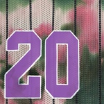 Supreme Dyed Basketball Short (FW20) - Green