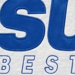 Supreme Best Of The Best Hooded Sweatshirt (FW20) - Ash Grey