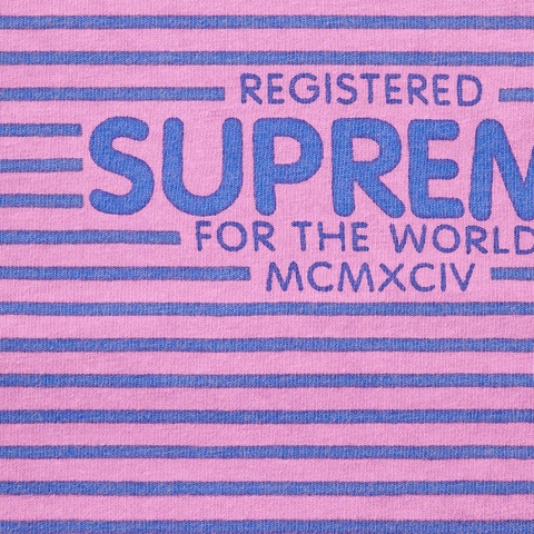 Supreme Micro Stripe L/S Top - Pink