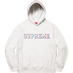 Supreme Drop Shadow Hooded Sweatshirt (FW20) - Heather Multi