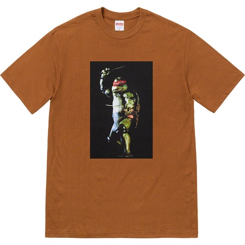 Supreme Raphael Tee - Brown