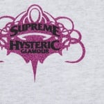 Supreme Supreme HYSTERIC GLAMOUR Zip Up Hooded Sweatshirt (SS21) - Ash Grey