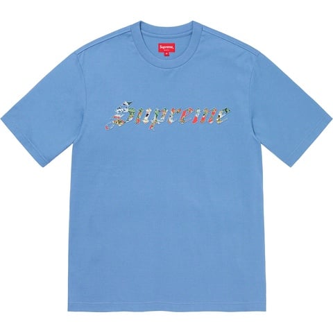 Supreme Floral Appliqué S/S Top - Light Blue
