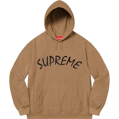 FTP Arc Hooded Sweatshirt - spring/summer 2021 - Supreme