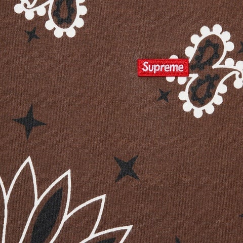 Supreme Small Box Tee - Brown Bandana