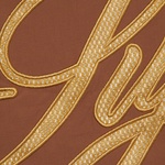 Supreme Mesh Script Water Short (SS21) - Brown