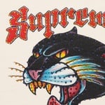 Supreme Panther Zip Up Hooded Sweatshirt (SS21) - Natural