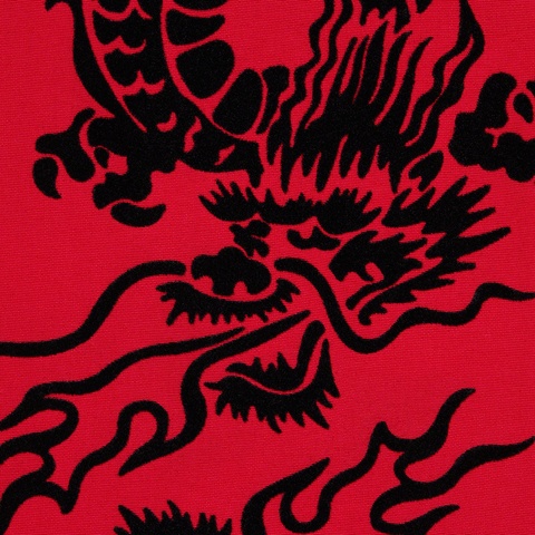 Supreme Dragon Track Jacket - Red
