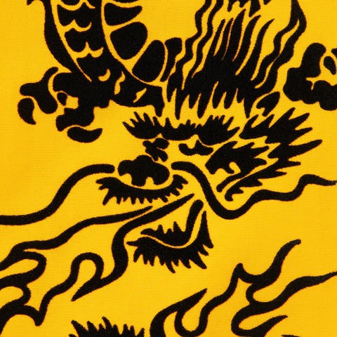 Supreme Dragon Track Jacket - Yellow