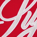 Supreme Mesh Script Water Short (SS21) - Red