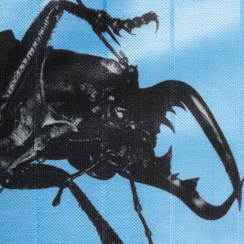 Supreme Beetle Short - Blue