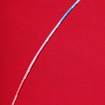 Supreme Gradient Piping Water Short (SS21) - Red