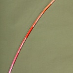 Supreme Gradient Piping Water Short (SS21) - Olive