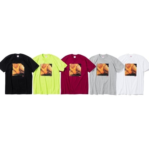 Supreme Supreme/Butthole SurfersRembrandt Pussyhorse Tee - $44.00