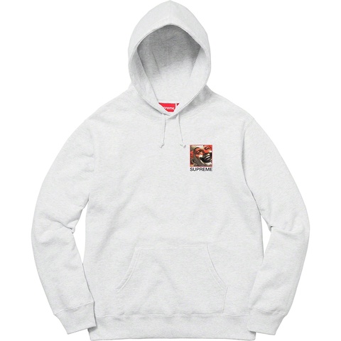Supreme Supreme/Butthole Surfers Hooded Sweatshirt - Ash Grey