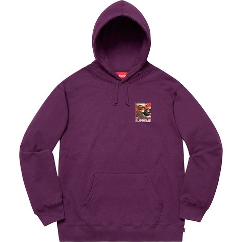 Supreme Supreme/Butthole Surfers Hooded Sweatshirt - Eggplant