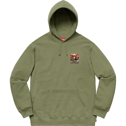 Supreme Supreme/Butthole Surfers Hooded Sweatshirt - Light Olive