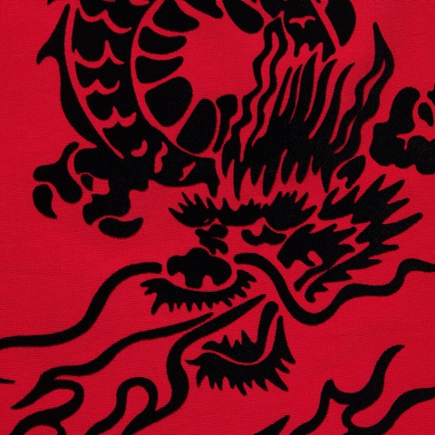 Supreme Dragon Water Short - Red