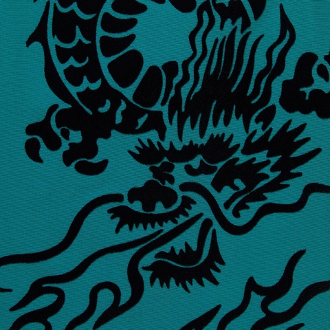 Supreme Dragon Water Short - Teal
