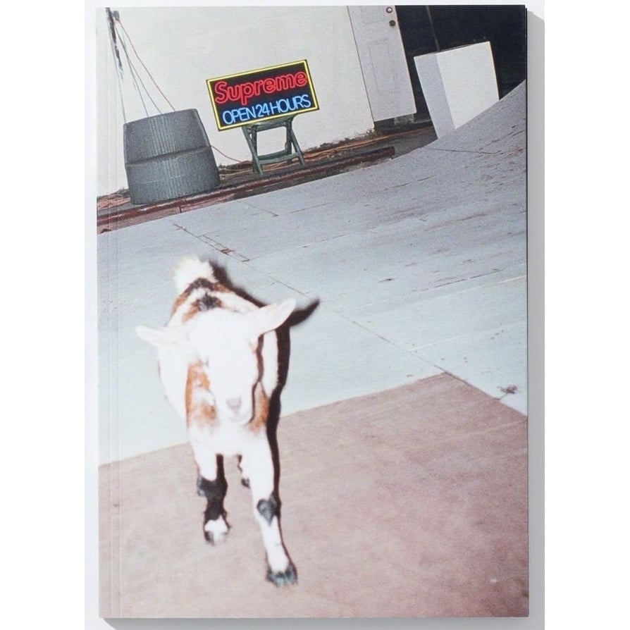 新品 Supreme sun damage by harmony korine Sun Damage by Harmony Korine - fall/winter 2021 - Supreme