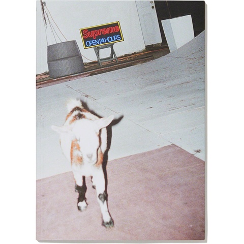 Sun Damage by Harmony Korine - SupremeCommunity