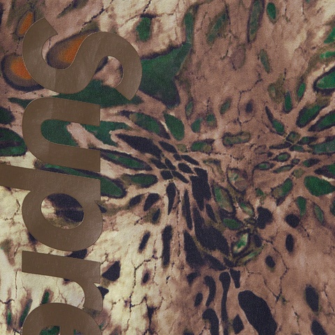 Supreme GORE-TEX PACLITE® Pant - Prym1 Wave® Camo