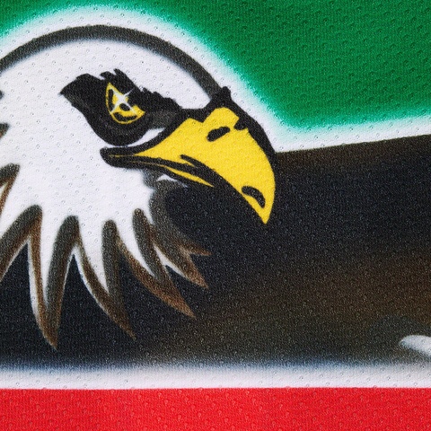 Supreme Eagle Hockey Jersey - Green
