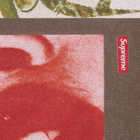 Supreme Daidō Moriyama Regular Jean - Brown