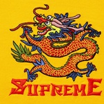 Supreme Dragon Hooded L S Top (SS22) - Gold