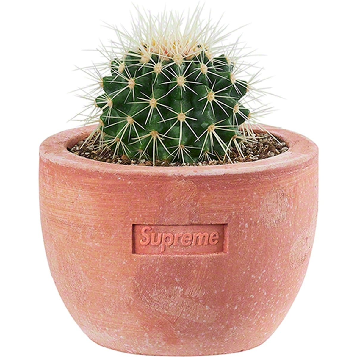 Supreme®/Poggi Ugo Small Planter - SupremeCommunity