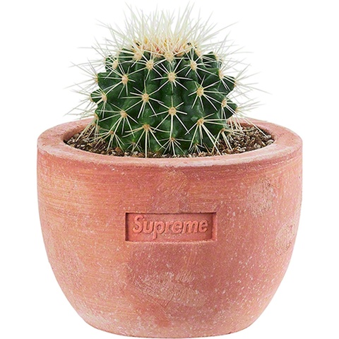 Supreme®/Poggi Ugo Small Planter - Supreme