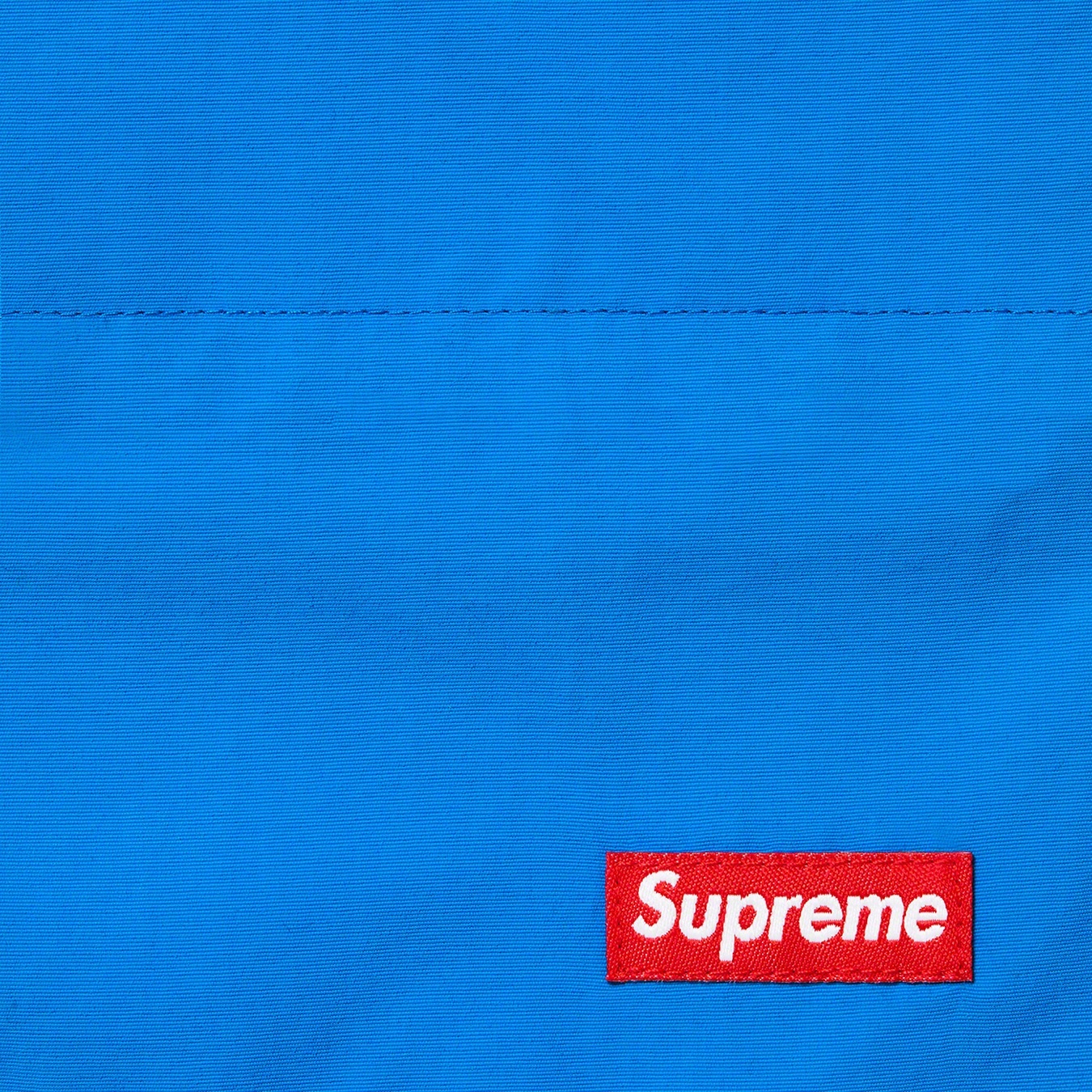 Supreme Nylon Water Short (SS22) - Blue - $110