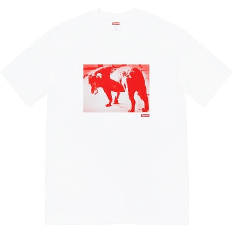 Supreme Daidō Moriyama Dog Tee - White