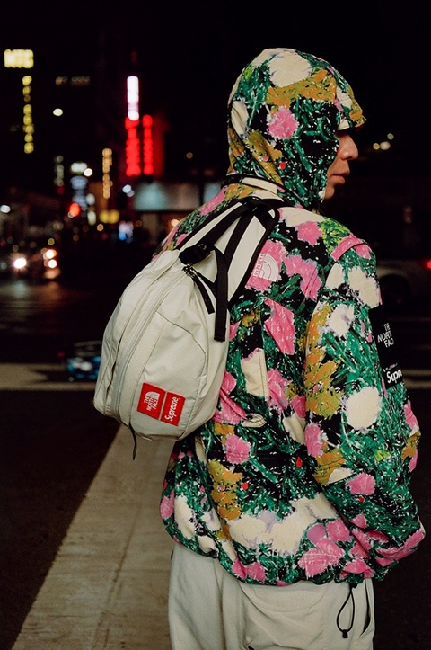 Supreme®/The North Face®