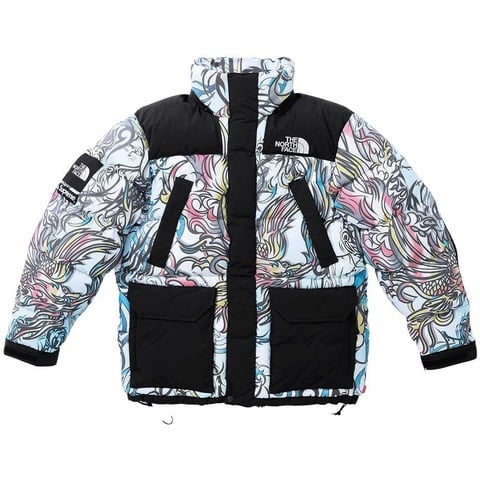Supreme Supreme®/The North Face® 700-Fill Down Parka - Colorway