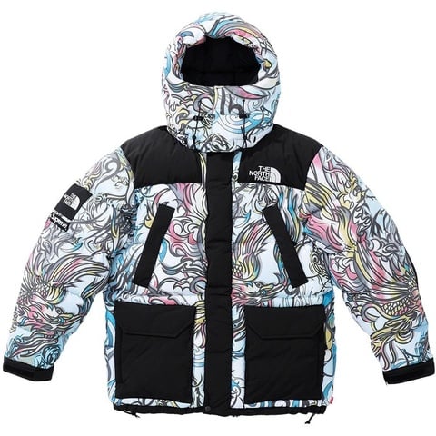 Supreme Supreme®/The North Face® 700-Fill Down Parka - Colorway