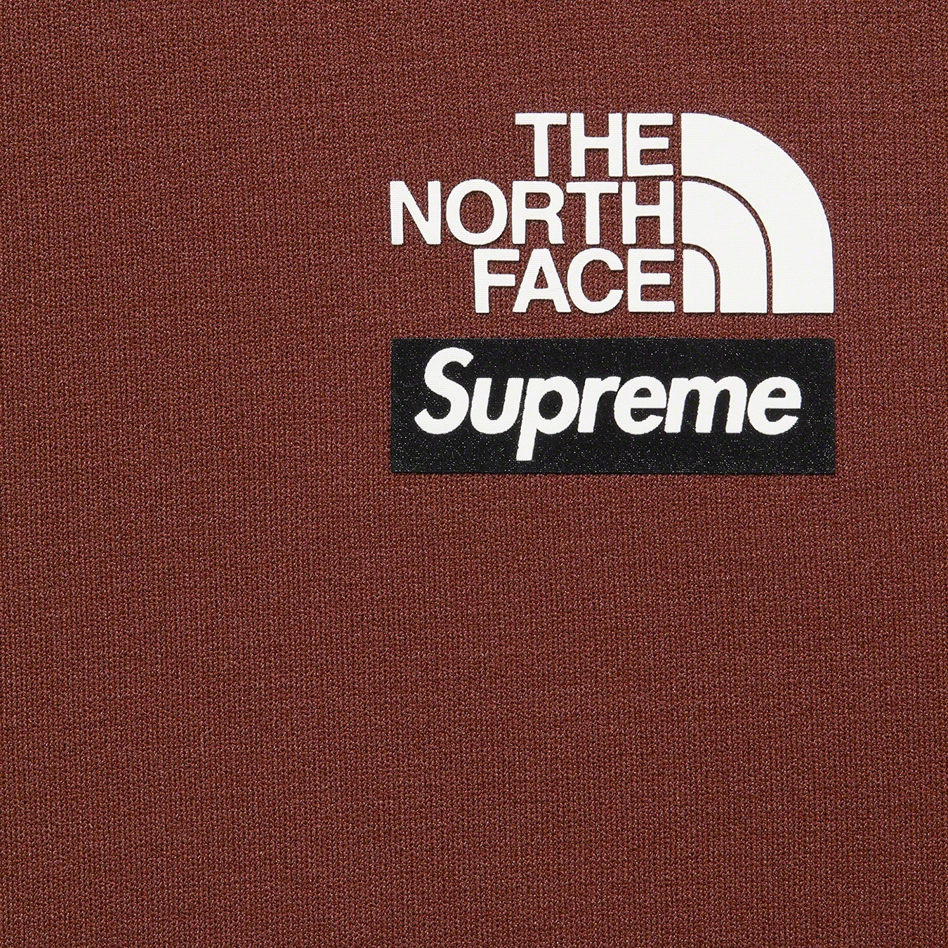 Supreme Supreme The North Face Base Layer L S Top (FW22) - Brown - $88
