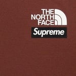 Supreme Supreme The North Face Base Layer L S Top (FW22) - Brown