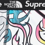 Supreme Supreme The North Face Base Layer Pant (FW22) - Multicolor Dragon