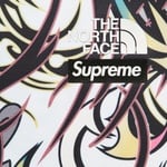 Supreme Supreme The North Face Base Layer L S Top (FW22) - Multicolor Dragon