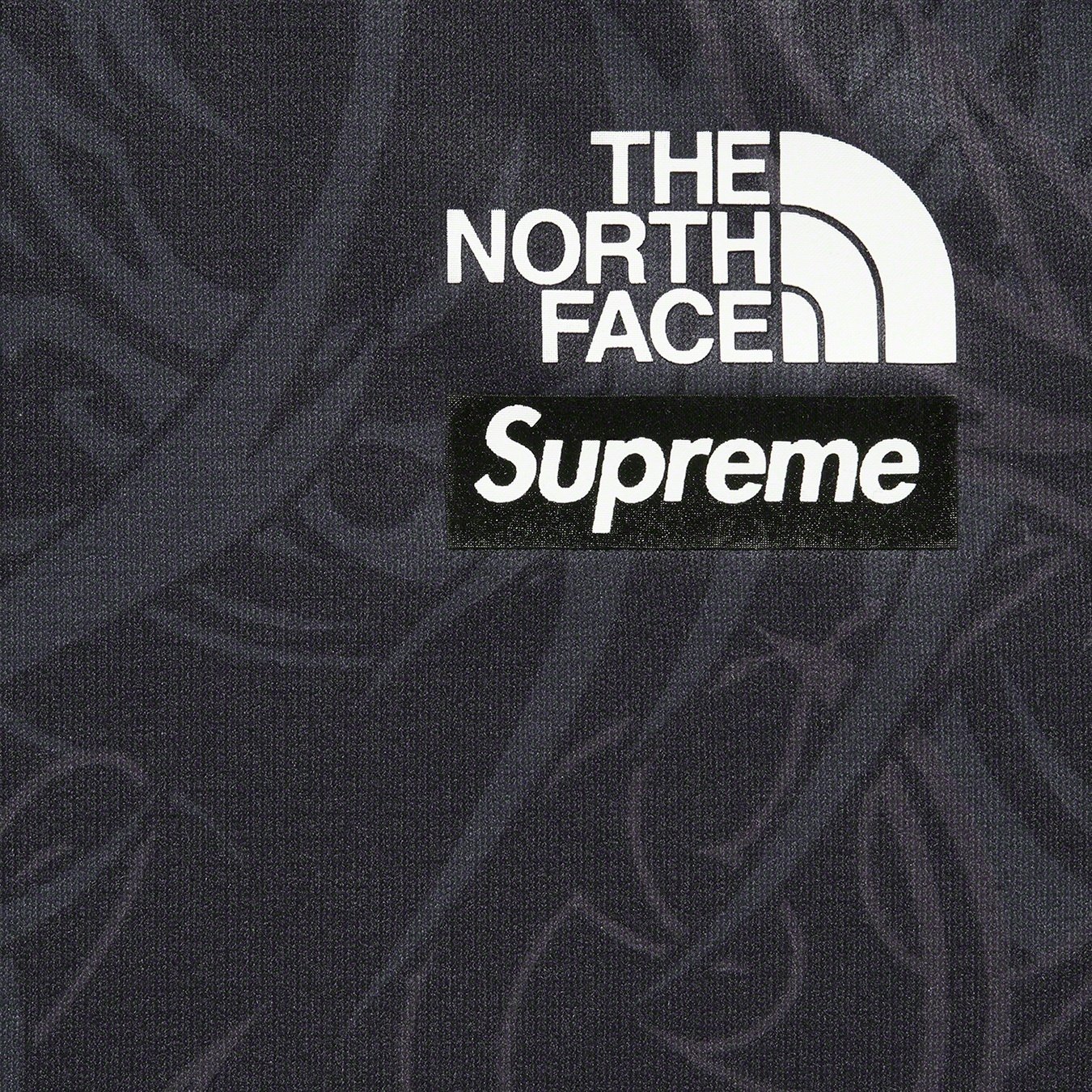 Supreme Supreme The North Face Base Layer L S Top (FW22) - Black Dragon - $88