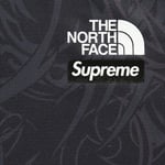 Supreme Supreme The North Face Base Layer L S Top (FW22) - Black Dragon