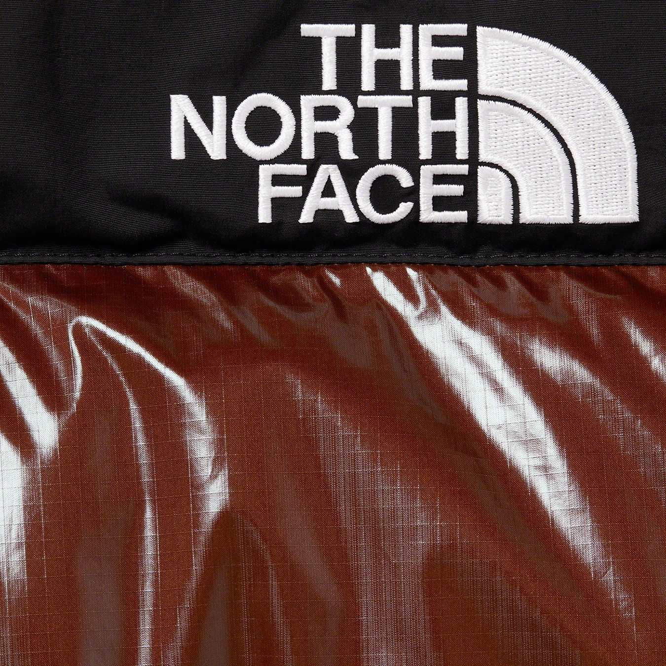 Supreme Supreme The North Face 700-Fill Down Parka (FW22) - Brown - $598