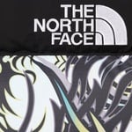 Supreme Supreme The North Face 700-Fill Down Parka (FW22) - Multicolor Dragon