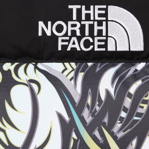 Supreme Supreme®/The North Face® 700-Fill Down Parka - Multicolor Dragon