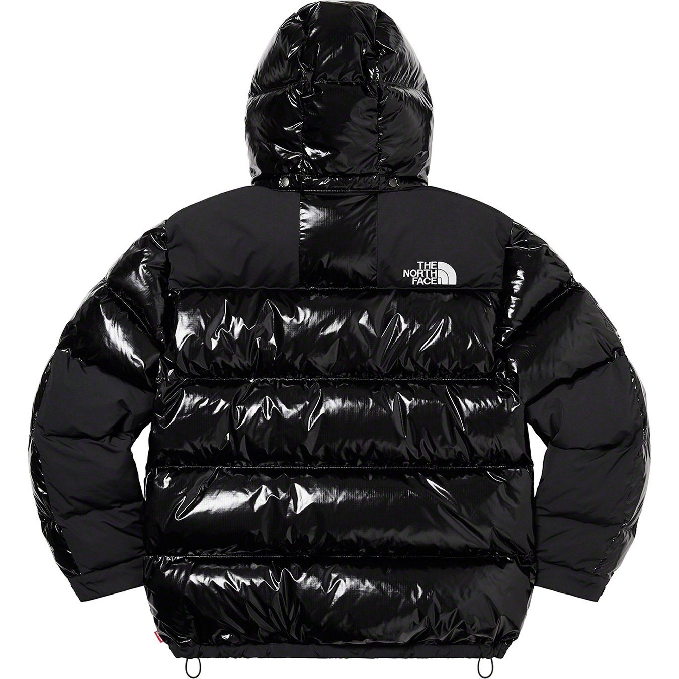 Supreme Supreme The North Face 700-Fill Down Parka (FW22) - Black - $598