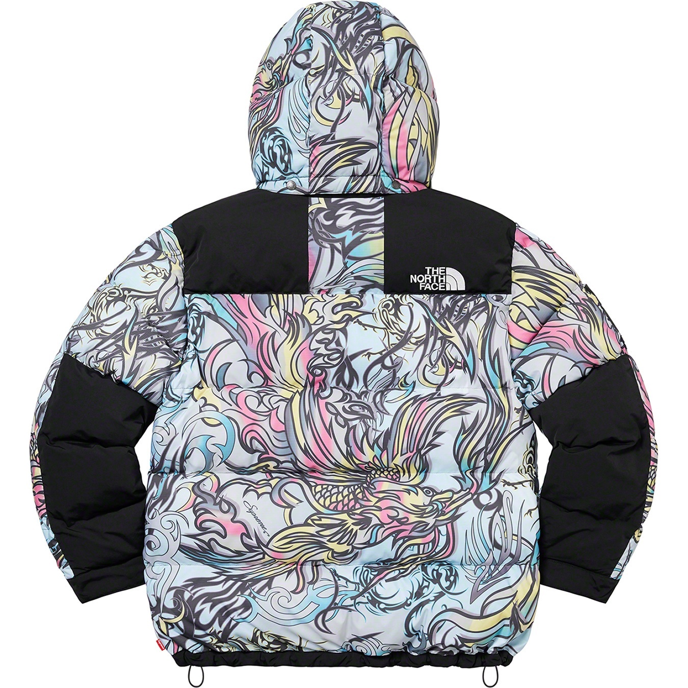 Supreme Supreme The North Face 700-Fill Down Parka (FW22) - Multicolor Dragon - $598