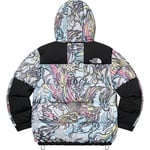 Supreme Supreme The North Face 700-Fill Down Parka (FW22) - Multicolor Dragon