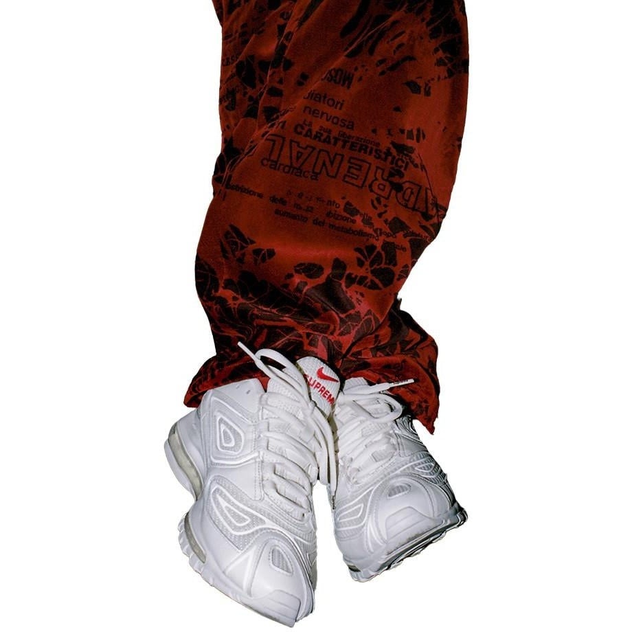 Supreme Supreme Nike Air Max 98 TL (FW22) - $168