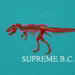 Supreme B.C. S S Top (FW22) - Teal